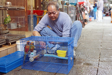 Hong Kong  China  Mann saeubert einen Vogelkaefig auf dem Bird Market