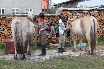 Neu Kaetwin  Deutschland  Maedchen striegeln ihre Pferde