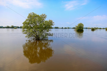 Prignitz  Deutschland  Hochwasser an der Elbe