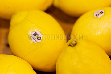 Berlin  Deutschland  Zitronen mit EG-Bio-Siegel auf der Fruit Logistica 2011