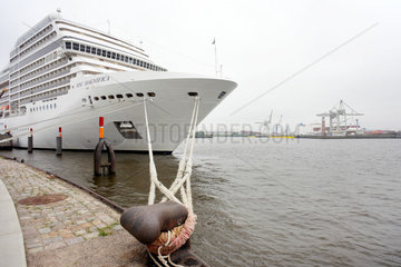 Hamburg  Deutschland  das Kreuzfahrtschiff MSC MAGNIFICA am Kreuzfahrtterminal