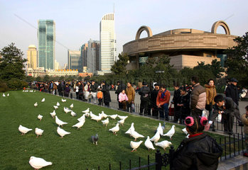 The white pidgins where released by chinese peaceactivists as a symbol for peace against the US led war against Iraq  but the birds did not brought their message further  they prefered to stay in the park in the centre where they get fed by the residents.