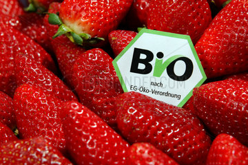 Berlin  Deutschland  Erdbeeren mit einem Bio-Siegel