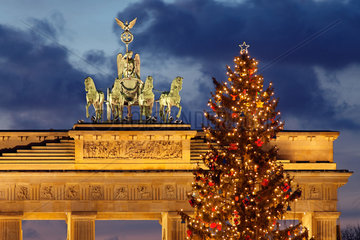 Berlin  Deutschland  geschmueckter Weihnachtsbaum vor dem Brandenburger Tor