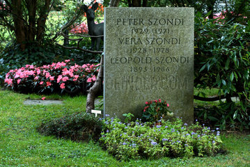 Zuerich  Schweiz  das Grab von des Psychiaters Leopold Szondi