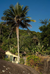 Brasilien  Haeuschen auf der Ilha Grande