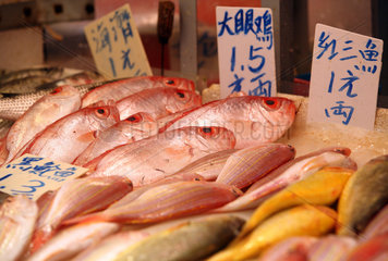 Macau  China  frischer Fisch in der Auslage auf einem Markt