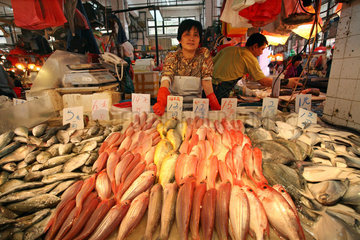 Macau  China  Fischhaendlerin wartet auf Kundschaft