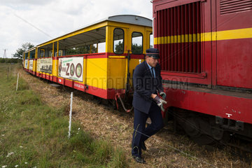 Polen  Mikoszewo  Schmalspurbahn