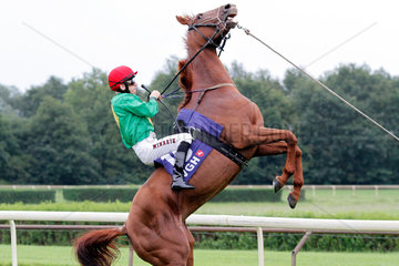 Hannover  Deutschland  sich aufbaeumendes Pferd versucht seinen Jockey abzuwerfen