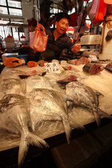 Macau  China  Fischhaendler