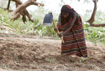 Awash  Aethiopien  Frau bei der Feldarbeit