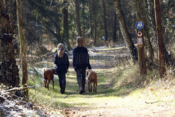 Hamburg  Deutschland  zwei Schwestern gehen mit Hunden im Wald spazieren