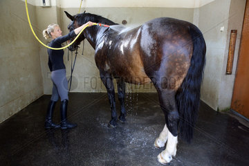 Graditz  Deutschland  Reiterin duscht ihr Pferd nach dem Ausritt in der Waschbox ab
