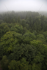 Stendsitz  Polen  Nebel ueber dem Naturreservat im Kaschubischen Landschaftspark