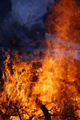 Szklarska Poreba  Polen  ein kontrolliertes Feuer im Wald