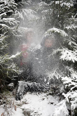 Belloe  Schweden  Kinder sitzen unter einem schneebedeckten Tannenbaum