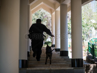 CHINA-YUNNAN-FIRST CLONED POLICE DOG-TRAINING (CN)