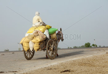 Dur Mohammad Mugheri  Pakistan  Eselskarren auf einer Landstrasse