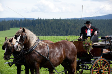 Sankt Maergen  Deutschland  eine Pferdekutsche mit Schwarzwaldpferden