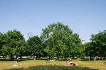 Berlin  Deutschland  Besucher des Monbijouparks liegen auf der Wiese