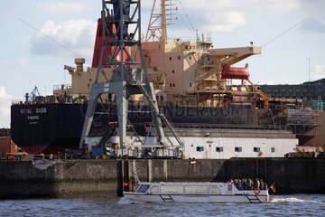 Hamburg  Deutschland  der Frachter Royal Oasis liegt zur Reparatur im Trockendock