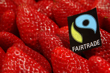 Berlin  Deutschland  Erdbeeren mit einem Fairtrade-Siegel