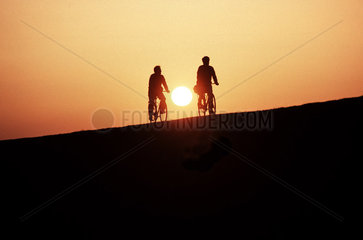 Fahrradfahrer auf dem Elbdeich