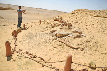 EGYPT-FAYOUM-VALLEY OF WHALES