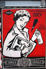 Obey visual disobedience