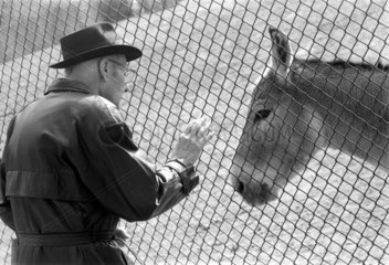 William S. Burroughs bei einem Besuch in Hagenbecks Tierpark
