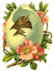 Vogel schluepft aus dem Ei  Poesiebild  1895