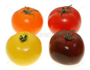 Vielfalt: rote  orange  gelbe und schwarze Tomaten