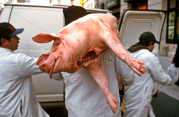 Anlieferung von Schweinefleisch