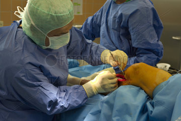 Chirurg entfernt Titan-Platte aus Unterschenkel