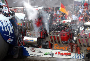 Tractor Pulling/European Championship 2004: Bandit  Niederlande