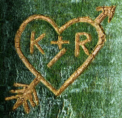 Herz  in einen Baum geritzt  Symbol Verliebte