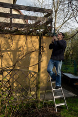 Breslau  Polen  ein Mann bei der Gartenarbeit