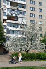 Lemberg  Ukraine  Stadtteil mit Hochhaussiedlungen