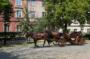 Warschau  Polen  telefonierender Pferdekutscher im Stadtteil Nowe Miasto