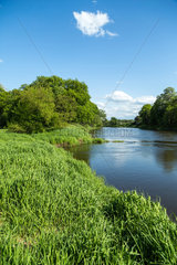 Starczanowo  Polen  Flusslandschaft an der Warthe