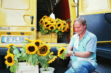 Berlin  Deutschland  ein Blumenhaendler entlaedt seine Sonnenblumen
