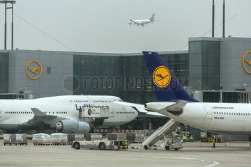 Frankfurt  Deutschland  Flugzeuge der Lufthansa am Flughafen Frankfurt