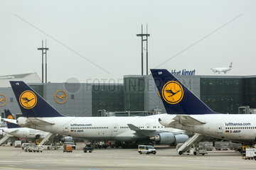 Frankfurt  Deutschland  Flugzeuge der Lufthansa am Flughafen Frankfurt