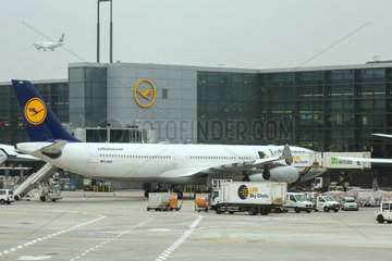 Frankfurt  Deutschland  Flugzeug der Lufthansa am Flughafen Frankfurt