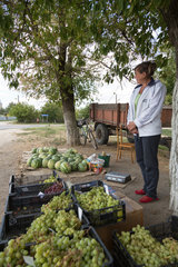 Chitcani  Republik Moldau  Baeuerin verkauft Obst am Strassenrand