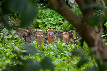 Ruehstaedt  Deutschland  Friedhof eines Kindes fuer tot aufgefundene Tiere und Insekten
