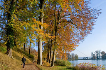 Werder  Deutschland  Herbststimmung im Schlosspark Petzow