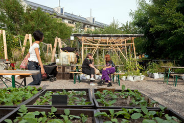 Berlin  Deutschland  Urban Gardening: In den Prinzessinnengaerten am Moritzplatz