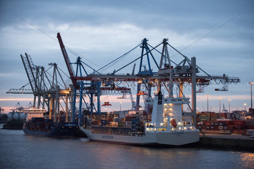 Hamburg  Deutschland  Schiffe am Container-Terminal im Hamburger Hafen
